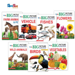 Big Picture Board Book 7 Level - 2 - ToplyShop ৭টি বিগ পিকচার বোর্ড বুক সেট (লেভেল-২)